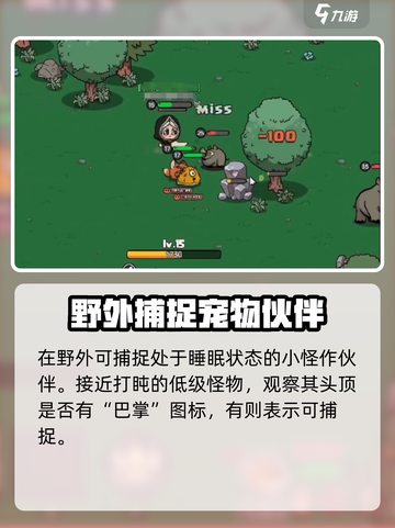 英勇之地怎么抓宠物的介绍截图2