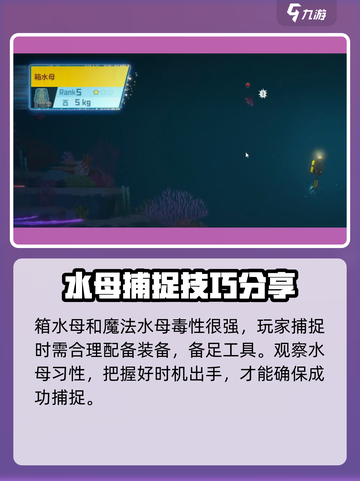 潜水员戴夫水母怎么抓介绍截图6