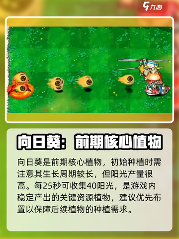 植物大战僵尸杂交版向日葵怎么样介绍截图2