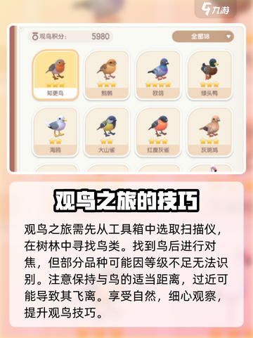 心动小镇观鸟操作怎么做介绍截图3