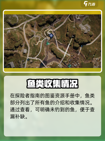 七日世界🔥鱼类大揭秘！钓鱼达人必看🐠截图2