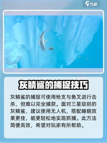 潜水员戴夫灰鲭鲨在哪介绍截图4