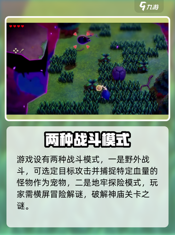塞尔达传说智慧的再现限定机是什么介绍截图3