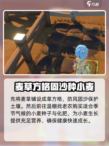 沙石镇时光🌟小麦种植秘籍🔥注意事项全攻略！截图3