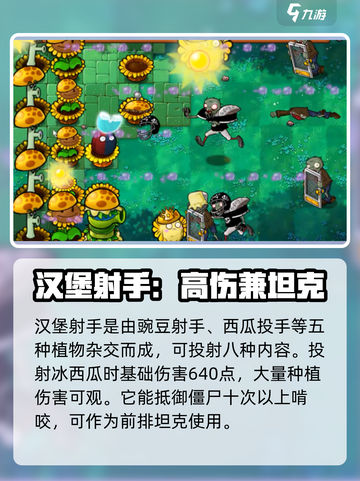 植物大战僵尸杂交版💥汉堡射手超厉害🔥截图3
