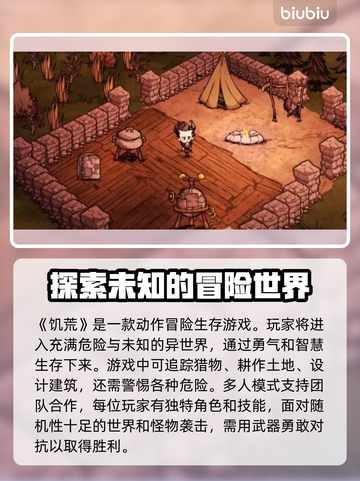 饥荒联机版卡顿？这样解决立马流畅🔥🎮截图2