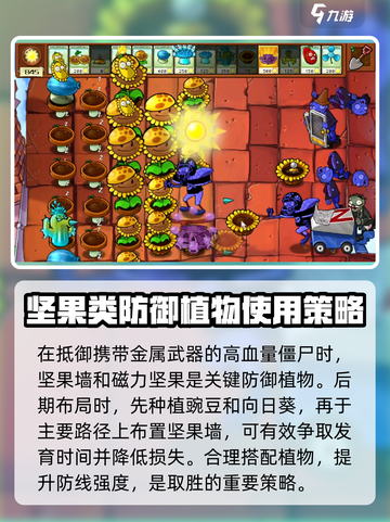 植物大战僵尸杂交版屋顶花园技巧介绍截图5