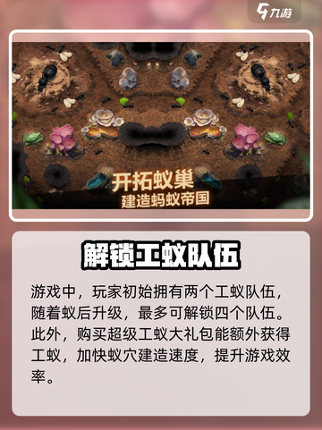 小小蚁国可以买几只工蚁介绍截图4
