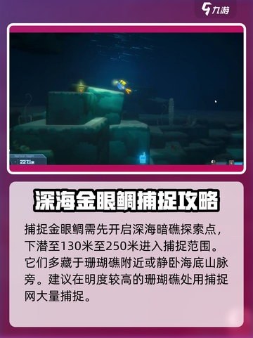 潜水员戴夫🔥金眼鲷的秘密你还不知道？截图2