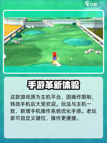 🎮《超级马力欧三维世界》+《狂怒世界》玩法大揭秘！🔥截图5