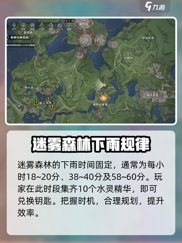 塔瑞斯世界🔥迷雾森林下雨时间揭秘🌧截图2