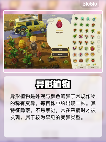 【星布谷地】变异果实全收集💥截图3