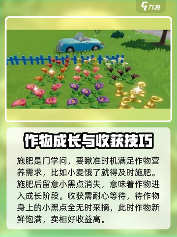 心动小镇🔥快速种植技巧，效率飙升💯截图3