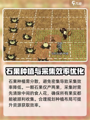饥荒联机版石果采摘消失怎么办介绍截图3