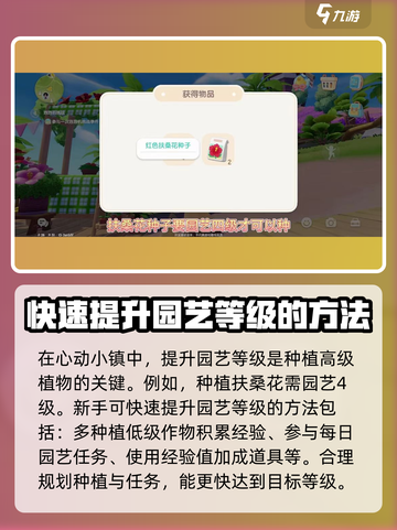 心动小镇🔥扶桑花种植条件全揭秘！🌸截图2