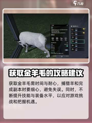 七日世界🔥金羊毛获取途径大揭秘！💎截图10