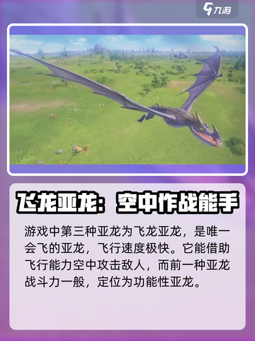 龙石战争🔥亚龙全介绍，玩家必看！🎮截图4