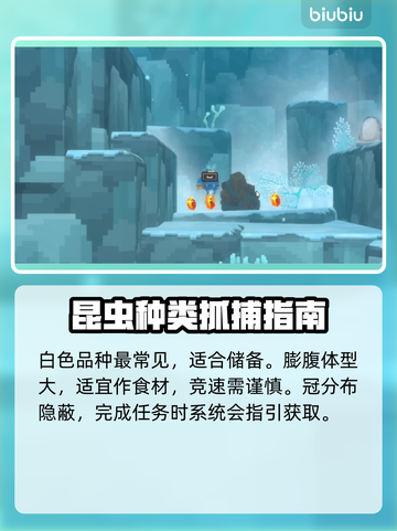 潜水员戴夫海马大全🎉游戏攻略一手掌握！截图4