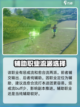星痕共鸣智力系职业有哪些介绍截图4