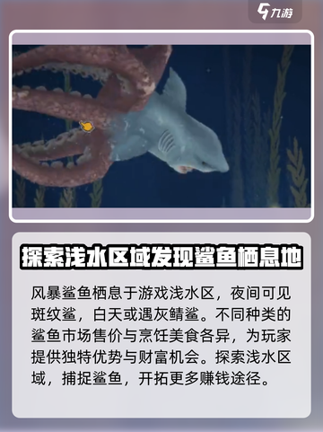 潜水员戴夫风暴鲨鱼在哪介绍截图2