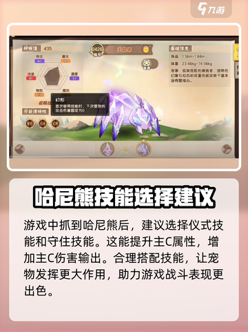 西普大陆手游🔥王晶蛛超详细解析来啦！截图2