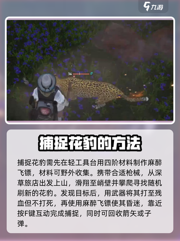 七日世界s级动物有什么介绍截图2
