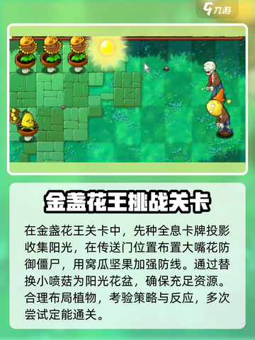 植物大战僵尸：金盏花王关卡通关秘籍🔥💡截图4