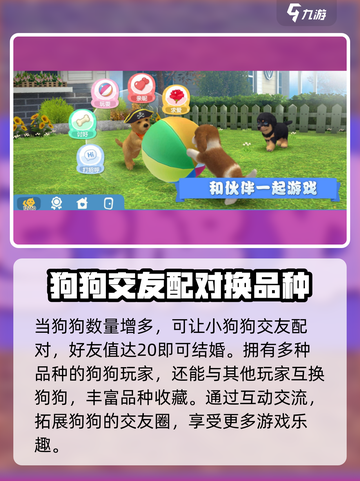 梦幻小狗🔥新手必看！玩法攻略全揭秘✨截图4