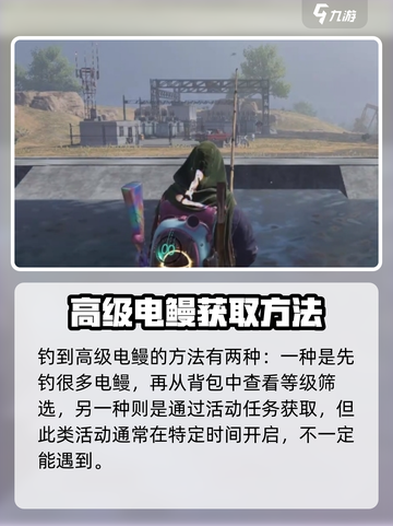 七日世界🔥高级电鳗获取方法大全🎮截图4