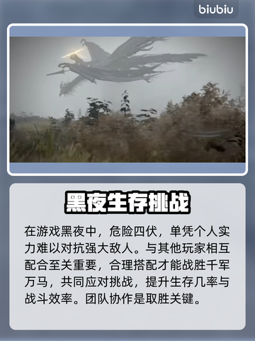 艾尔登法环🔥黑夜君临用哪个联机加速器最丝滑？🚀截图2