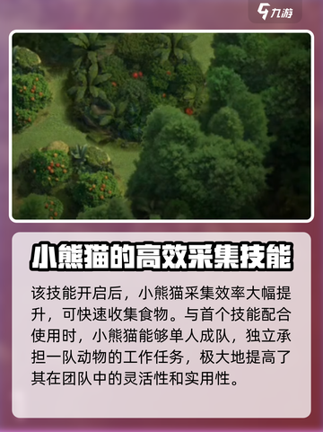 野兽领主新世界：小熊猫🔥强度分析，超神还是废柴？截图5