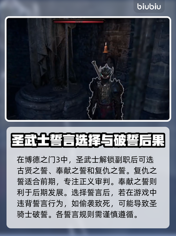 博德之门3🔥圣骑士破誓全过程揭露！💥截图2