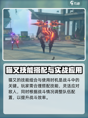 绝区零猫又身高多少介绍截图4