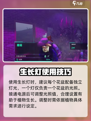 七日世界生长灯💡作用大起底！玩家必看⚡截图4