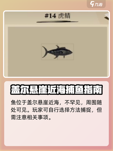 渔帆暗涌虎鲭在什么地方介绍截图2
