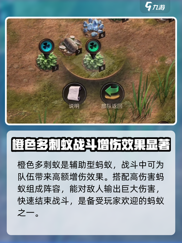 小小蚁国最强蚂蚁攻略🔥助你称霸蚁国！截图2