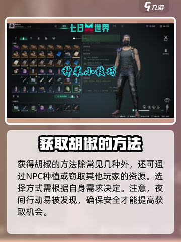 七日世界胡椒刷新点在哪里介绍截图4