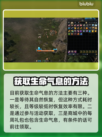 命运方舟：快速获取生命气息的秘密🔥💎截图2
