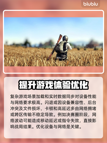 PUBG闪退？用这个加速工具🔥稳如泰山！🎮🚀截图2