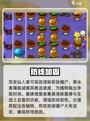 🔥植物大战僵尸杂交版第9关秒过！💥截图5