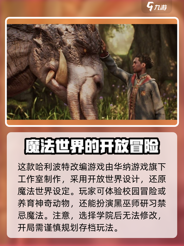 霍格沃茨遗产多少钱介绍截图5