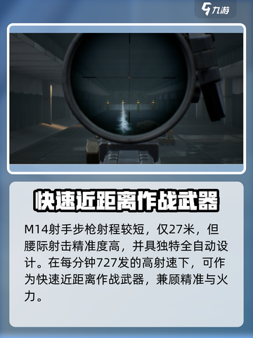 三角洲行动精确射手步枪有哪些介绍截图3