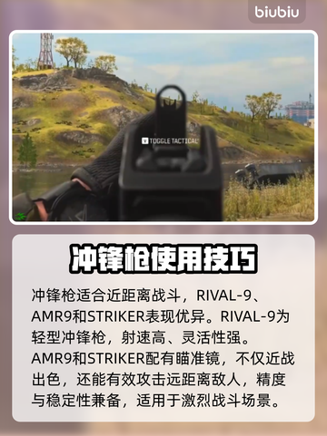 COD20🔥武器排名大曝光！玩家必看⚡截图2