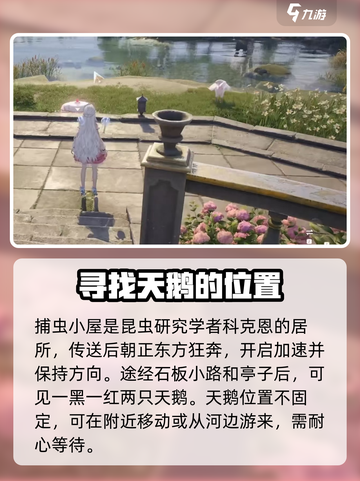 无限暖暖🔥夜色天鹅绒获取秘籍💎截图3