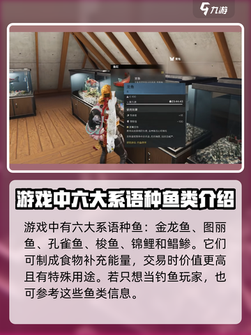 七日世界金龙鱼怎么获得介绍截图2