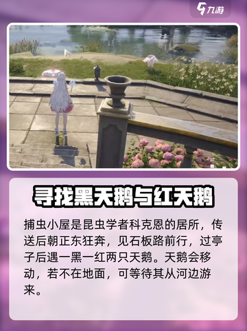 无限暖暖 NIGHT天鹅绒获取攻略💎截图3