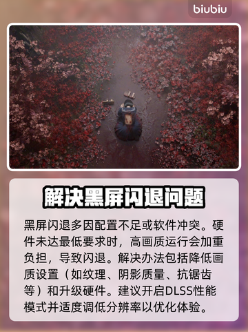 寂静岭F黑屏闪退？💥一键解决方法来了！截图3
