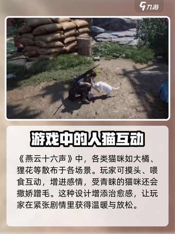 燕云十六声🔥超全休闲玩法攻略分享！截图3