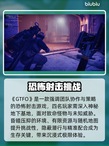 💥GTFO闪退卡顿？一招解决黑屏难题！🎮截图2