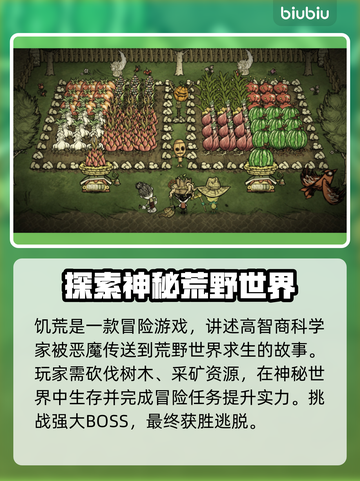 饥荒网络卡顿？❌《饥荒》流畅秘籍⚡截图2